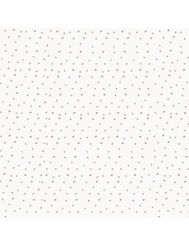 PACK NACIMIENTO VANILLA BABIDU 585