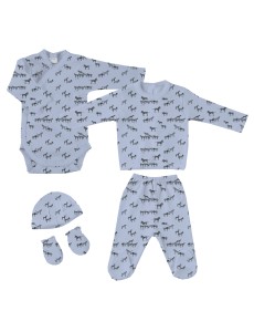 PACK NACIMIENTO CEBRAS...