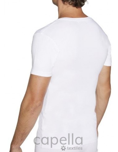 Camiseta manga corta hombre YSABEL...