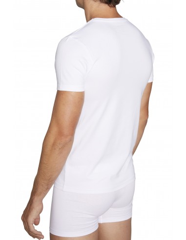 Camiseta MANGA CORTA (Caja de 6)...