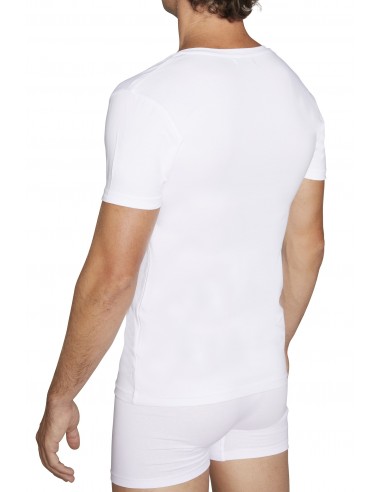 Camiseta MANGA CORTA (Caja de 6)...