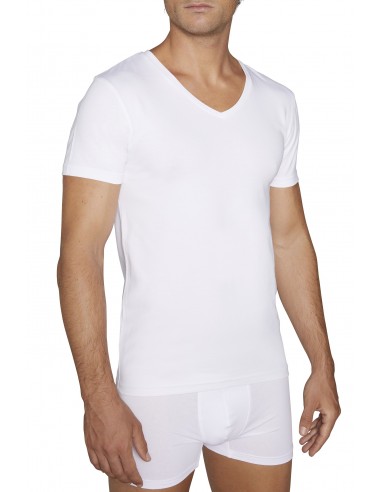 Camiseta MANGA CORTA (Caja de 6)...