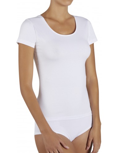 Camiseta MANGA CORTA (Caja de 6)...