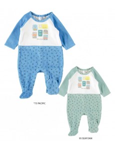 PELELE TERCIOPELO...