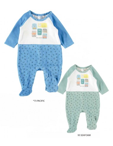 PELELE TERCIOPELO "TRANSPORT" YATSI...